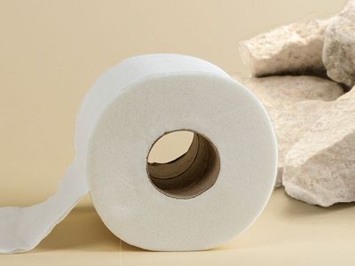 Эксперт назвал туалетную бумагу из камня непригодной для использования