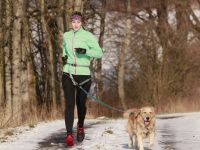 Обвязки спортивные Canicross