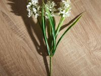 Ветвь Buona Pasqua III