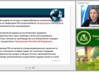 Международный вебинар "Государственный надзор и контроль за соблюдением законодательства РФ о труде и об охране труда"