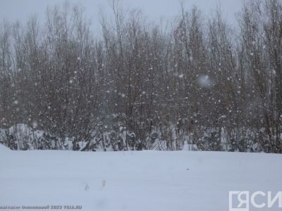 Ветер и снегопады прогнозируют в Якутии 19 января