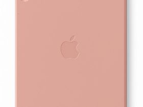 Чехол-книжка Smart Folio Cover для Apple iPad Air 4/5 и Air 11 (2024/2025) (полиуретан с подставкой) (Grape Fruit)