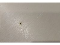 Стол Киннер 160x90 Древесный натуральный