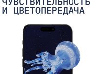 Стекло защитное Rocket