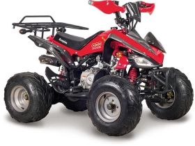 Квадроцикл ABM Scorpion 125A