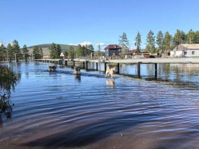 Паводок в Якутии осложнил кормозаготовительную кампанию