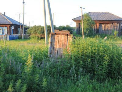 Братская могила