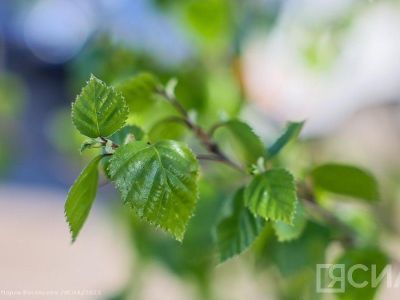 Что нельзя делать 26 мая 2024 года