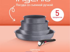 Набор посуды со съемной ручкой Tefal Ingenio Natural Force 5 предметов 16/20/22/28 см L3969053