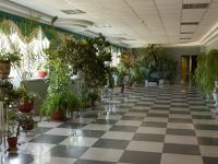 Дворец культуры «Прогресс» г. Арсеньева