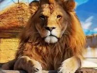 Зоосад «Приамурский» им. В. П. Сысоева