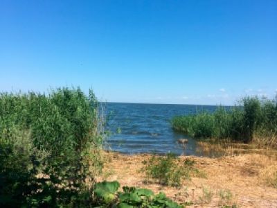 Подпорная стена из природного необработанного камня