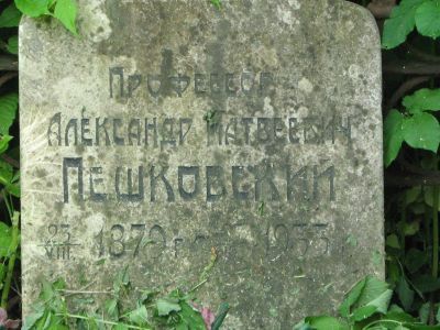 Могила Пешковского Александра Матвеевича (1878-1933), языковеда