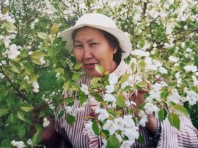 «Ранетки лежали под снегом»: история первого в Якутии яблоневого сада