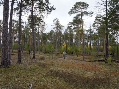 Святилище Вать-Яун-Оум