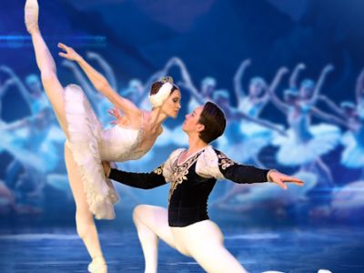 Лебединое озеро