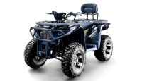 Квадроцикл BIZON ZX350