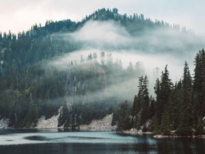 Глава РС (Я) Айсен Николаев подписал указ «Об отмене режима ЧС в лесах регионального характера