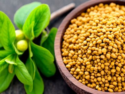 Пажитник: польза и вред для организма