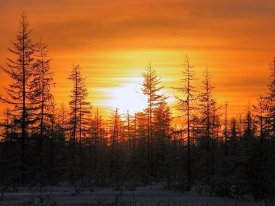 22 декабря – День зимнего солнцестояния: что нужно и нельзя делать, приметы