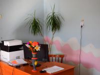 Шуринская библиотека