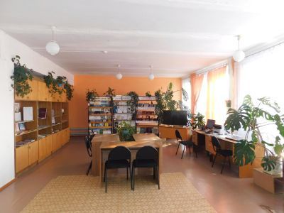 Библиотека-филиал № 29 с. Петровского