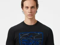 Мужская хлопковая футболка Lacoste REGULAR FIT