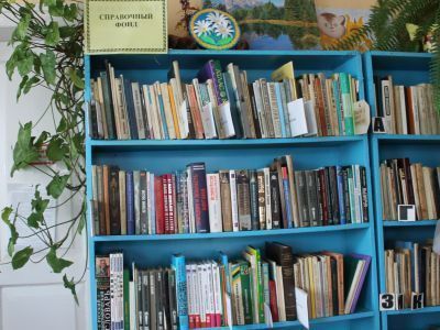 Рагозинская сельская библиотека