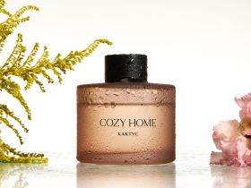 Диффузор Кактус 100 мл