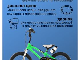Детский велосипед Royal Baby Freestyle 14, год 2024, цвет Зеленый
