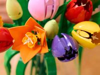 Botanicals 11501 Конструктор Букет тюльпанов