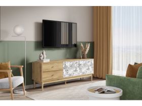 ТВ-тумба Тайрон 165x60 Джунгли ​
