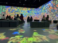 Центр цифрового искусства Artplay Media