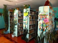 Большеселковская сельская библиотека – филиал № 4