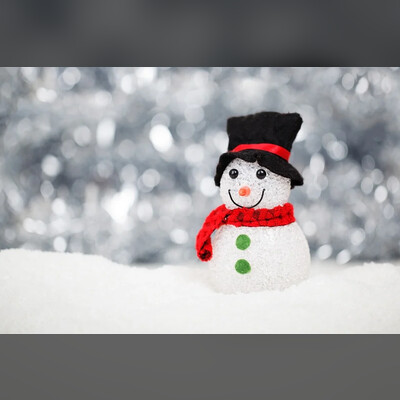 Новогодний переполох