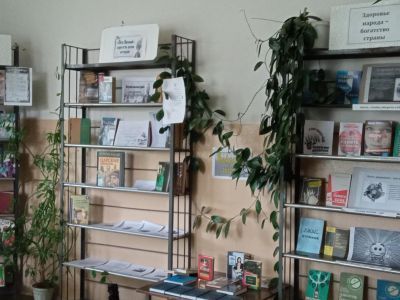 Чернышихинская сельская библиотека – филиал № 30