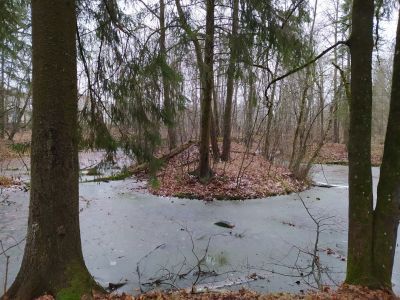 Парк с прудом