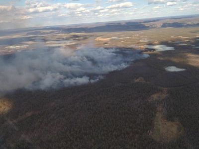 В Амгинском улусе зарегистрирован один лесной пожар
