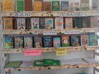 Библиотека с. Байхор