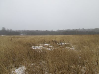 Памятное место, где с января по май 1942 года находился партизанский полевой аэродром, через который партизаны и регулярные части Красной Армии, действовавшие в тылу врага, имели регулярную воздушную связь с Большой землей. Установлена стела