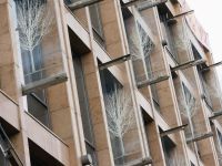 Московский театральный центр «Вишневый сад» под руководством Александра Вилькина