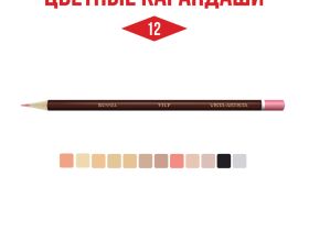 Набор карандашей цветных VISTA-ARTISTA "Fine" Skintones 12 цв, заточенный