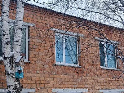 Центральная детская библиотека с. Новобирилюссы