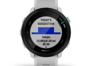 Смарт-часы Garmin Forerunner 55 42 mm (Whitestone) (010-02562-11)