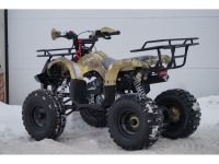 Квадроцикл MOTOLAND 125 Fox A