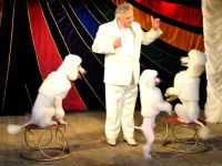 Московский театр иллюзии. Основная сцена