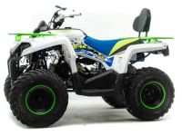 Квадроцикл MOTOLAND 200 Shark (2021 Г.)