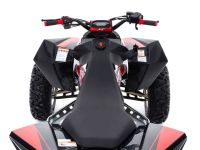 Квадроцикл SHARMAX GX-Cruiser 320  (2024)