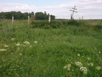 Могила, в которой похоронен сельский корреспондент, председатель Львовского сельсовета П.К.Горшков, убитый кулаками 12 декабря 1924 г.