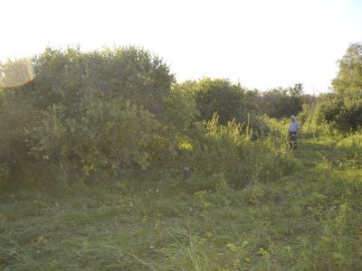 Братская могила жертв крестьянского восстания 1921 г.